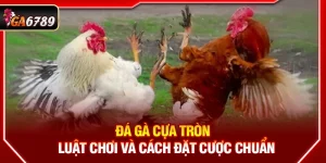 Đá Gà Cựa Tròn Ga6789 - Luật Chơi Và Cách Đặt Cược Chuẩn