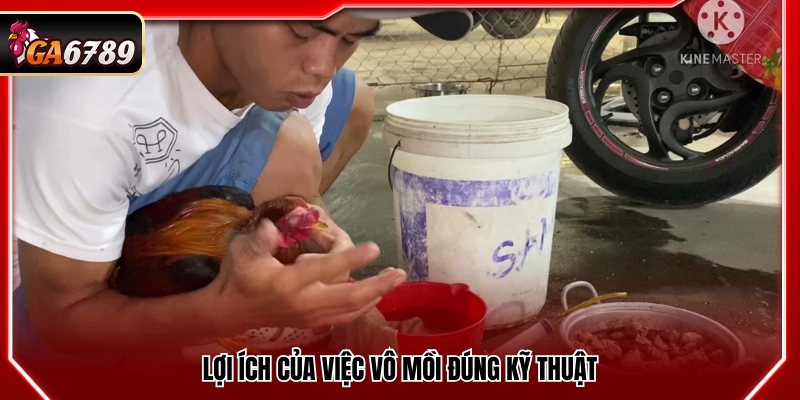 Tác dụng của việc vào mồi đúng cách
