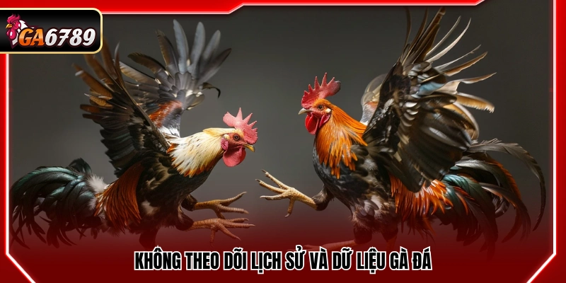 Bỏ qua việc theo dõi lịch sử và dữ liệu thi đấu của gà