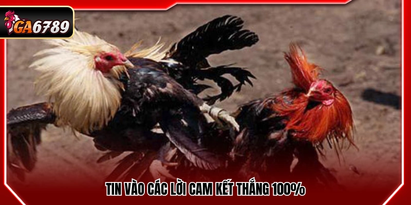 Tin tưởng vào những lời đảm bảo thắng tuyệt đối